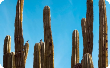Jobs in Phoenix